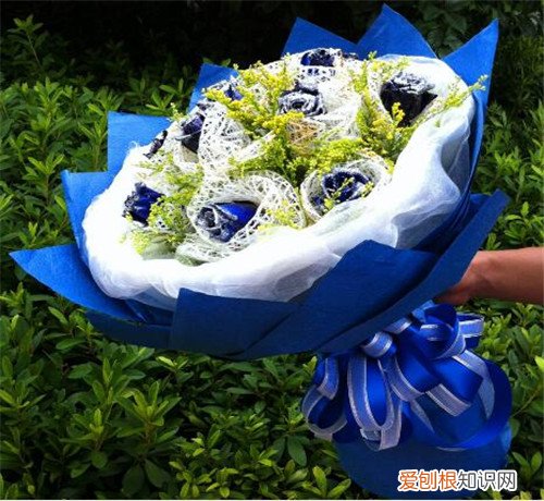 蓝色妖姬价格贵吗 情人节送女朋友蓝色妖姬好吗