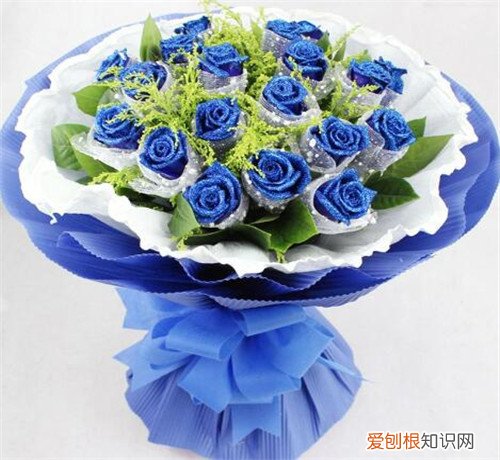 蓝色妖姬价格贵吗 情人节送女朋友蓝色妖姬好吗