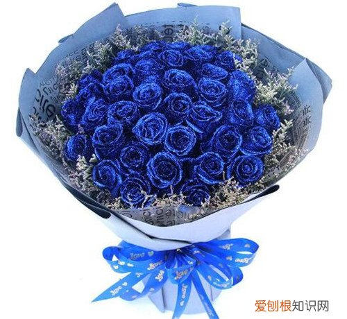 蓝色妖姬价格贵吗 情人节送女朋友蓝色妖姬好吗