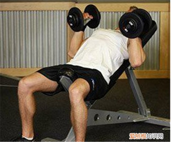 哑铃卧推动作分享常见训练中的3大误区有哪些