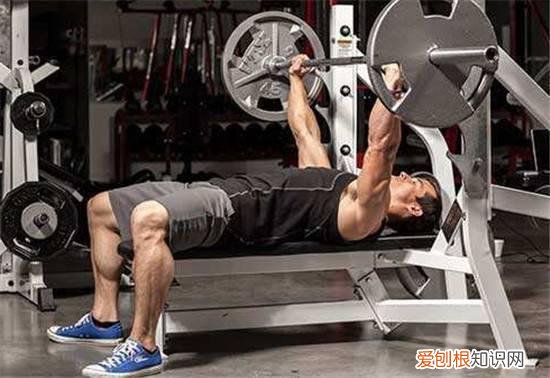 哑铃卧推动作分享常见训练中的3大误区有哪些