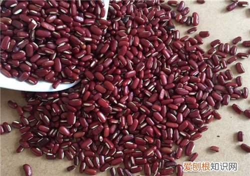 赤小豆和红豆的区别养颜补血最佳食疗方法