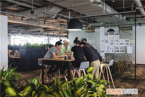 景观设计师需要具备哪些能力 景观设计师转行能干啥