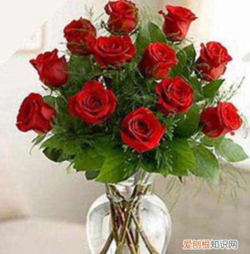 送12朵玫瑰花代表什么送女朋友几朵玫瑰花好