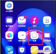 vivo的通用设置在哪里