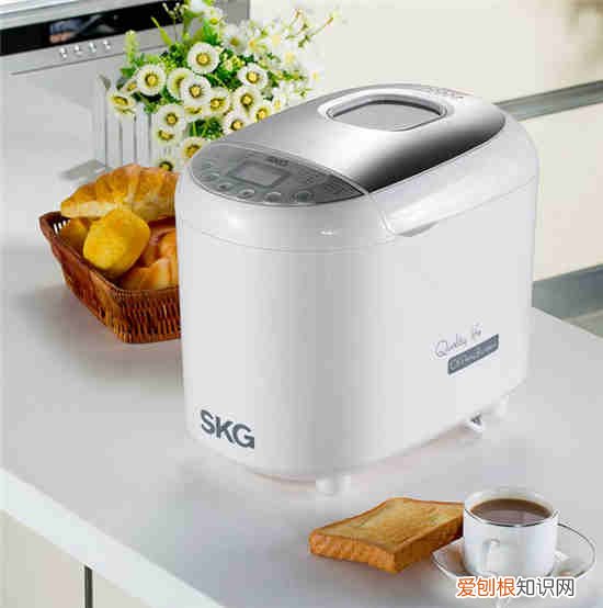 什么牌子的面包机好怎么选购面包机