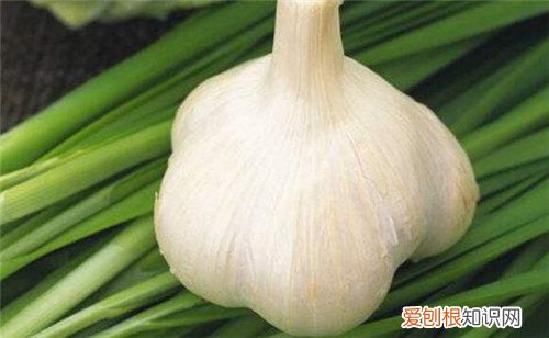 冬季如何预防感冒五个小妙招让您冬季不感冒