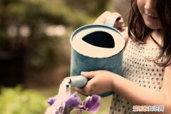 花期比较长的水养鲜花 这3种花最爱“喝水”，每天来一点，几月能长得撑爆盆！