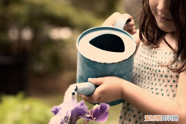 花期比较长的水养鲜花 这3种花最爱“喝水”，每天来一点，几月能长得撑爆盆！