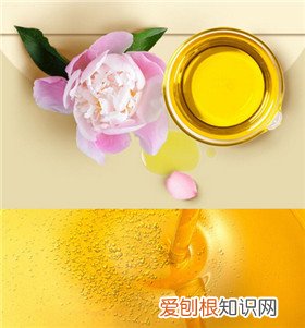 油用牡丹产的油有什么作用油用牡丹产的油能吃吗