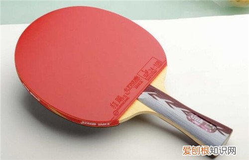 乒乓球拍保养方法有哪些乒乓球拍保养注意事项有哪些