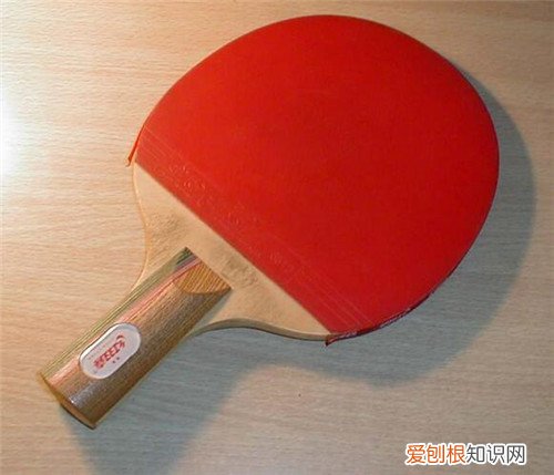 乒乓球拍保养方法有哪些乒乓球拍保养注意事项有哪些
