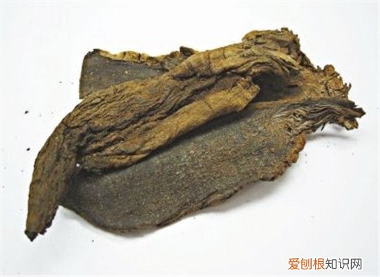 玄参的作用与功效玄参有副作用吗