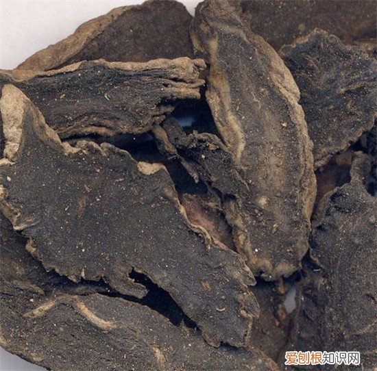 玄参的作用与功效玄参有副作用吗