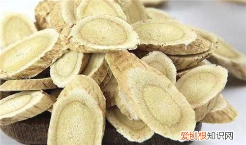 黄芪的功效与作用有哪些哪些人群不宜食用黄芪