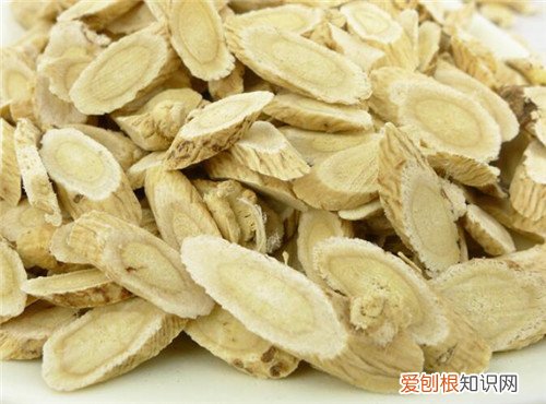 黄芪的功效与作用有哪些哪些人群不宜食用黄芪