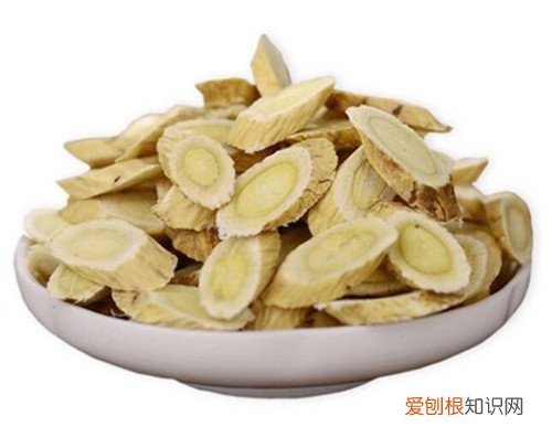 黄芪的功效与作用有哪些哪些人群不宜食用黄芪