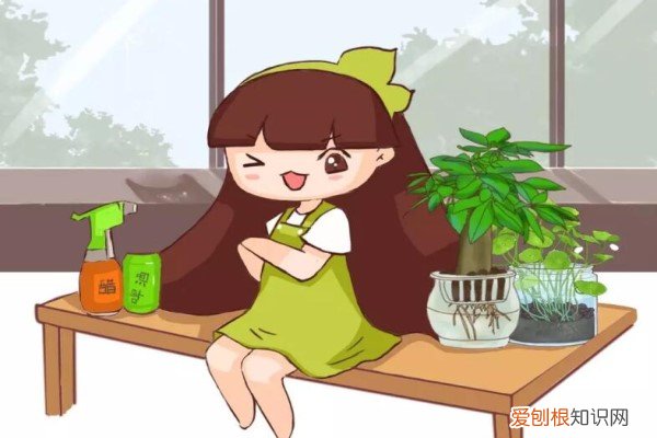 秋天给花洗个澡，一夜蹿出7个芽，秒变开花机器！