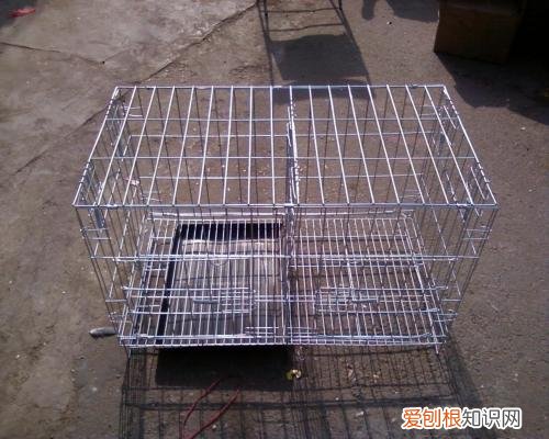 仓鼠笼子买什么样的好让小仓鼠活蹦乱跳的笼子推荐