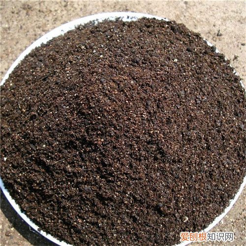 营养土的分类有哪些 根据花卉生理属性选择土壤