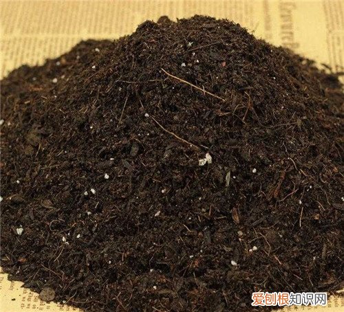 营养土的分类有哪些 根据花卉生理属性选择土壤