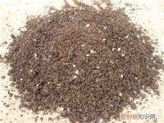 营养土的分类有哪些 根据花卉生理属性选择土壤