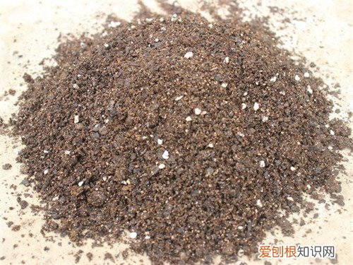 营养土的分类有哪些 根据花卉生理属性选择土壤