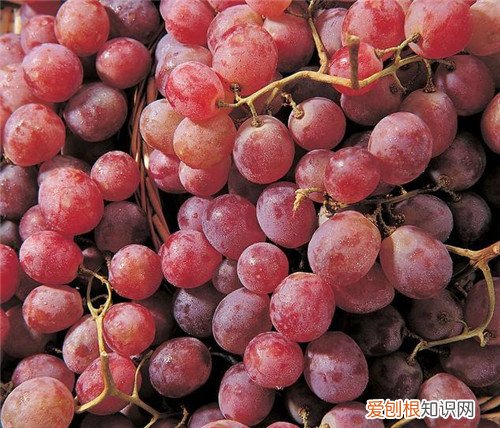 吃什么美容养颜8种水果蔬菜让您越吃越美