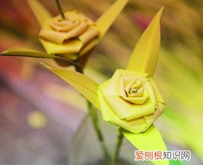 棕榈叶的寓意如何用棕榈叶折玫瑰花