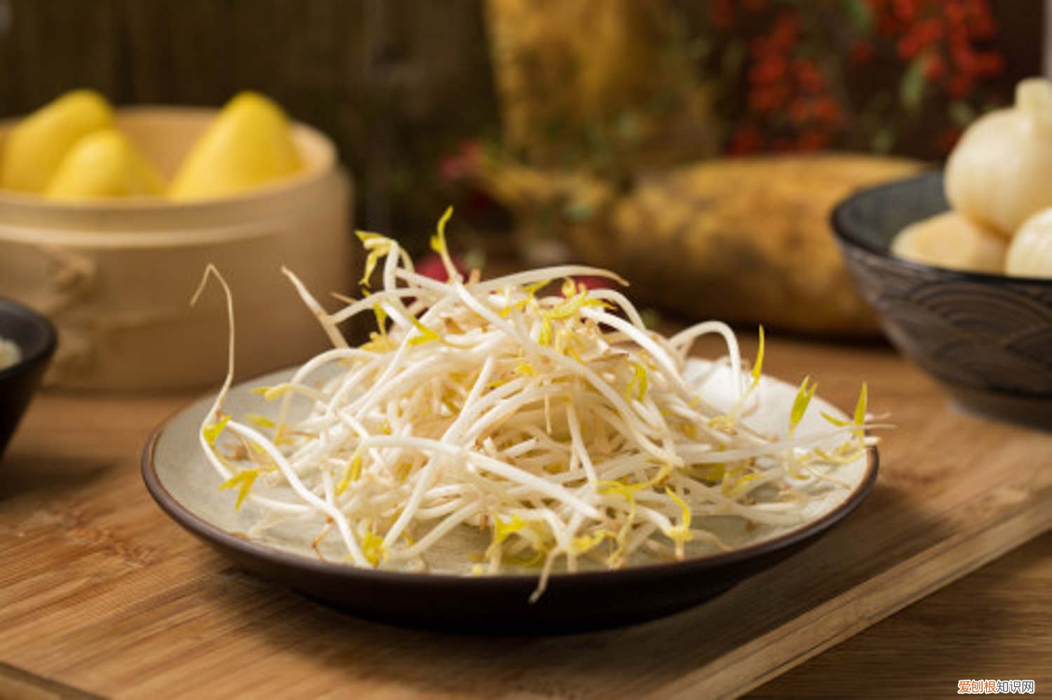 怎么种豆芽观察日记 怎么种豆芽