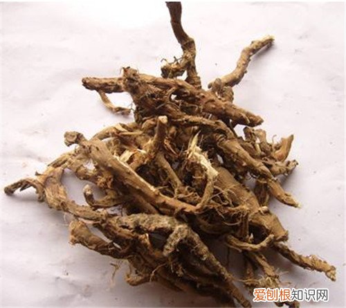 石菖蒲的功效与作用石菖蒲怎么吃更好