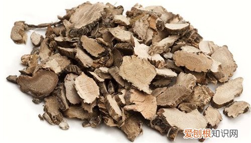 石菖蒲的功效与作用石菖蒲怎么吃更好