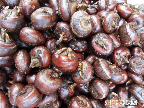 败火的水果有哪些6种快速败火的水果推荐