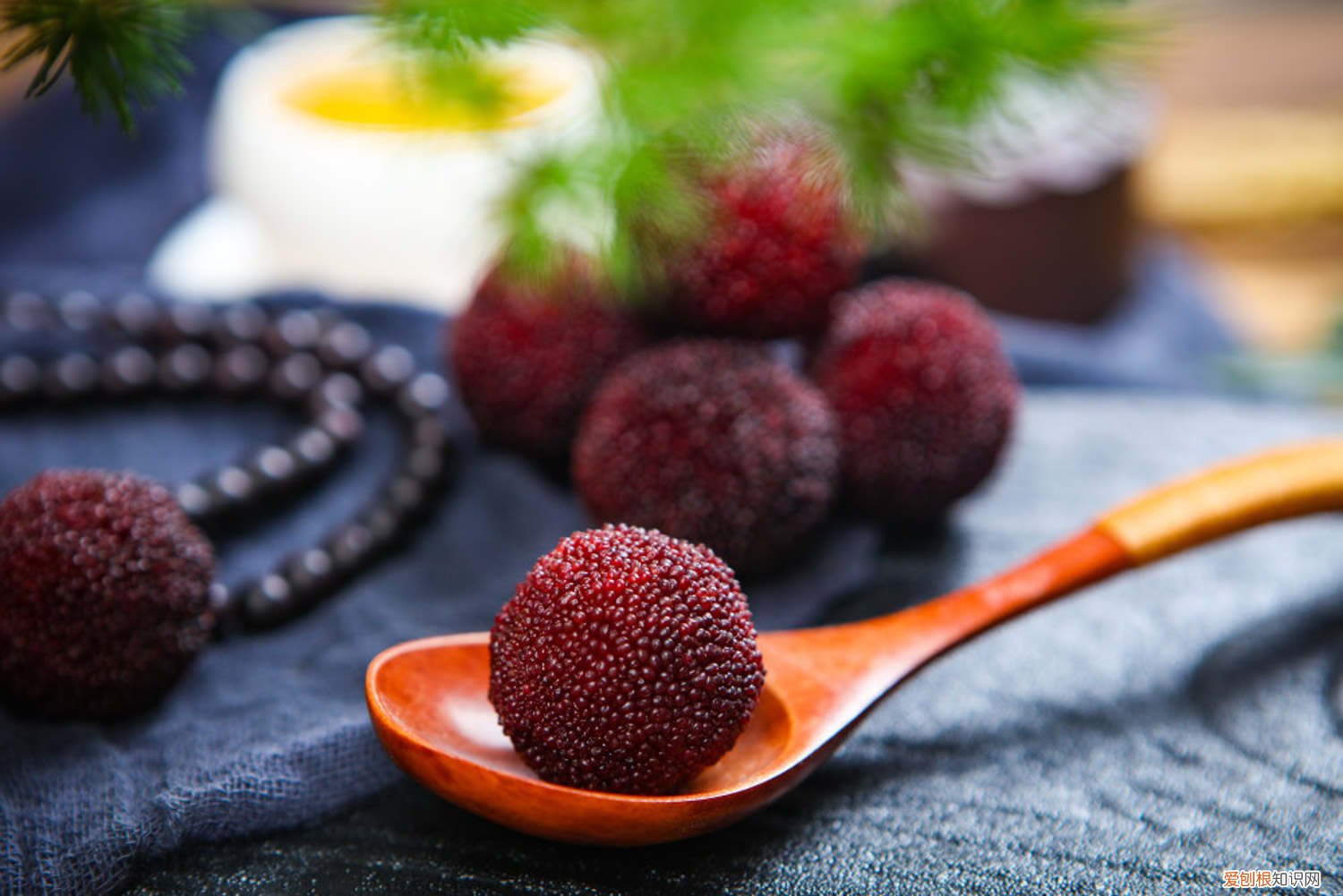 杨梅怎样种植 如何种植杨梅，种植后的管理方法