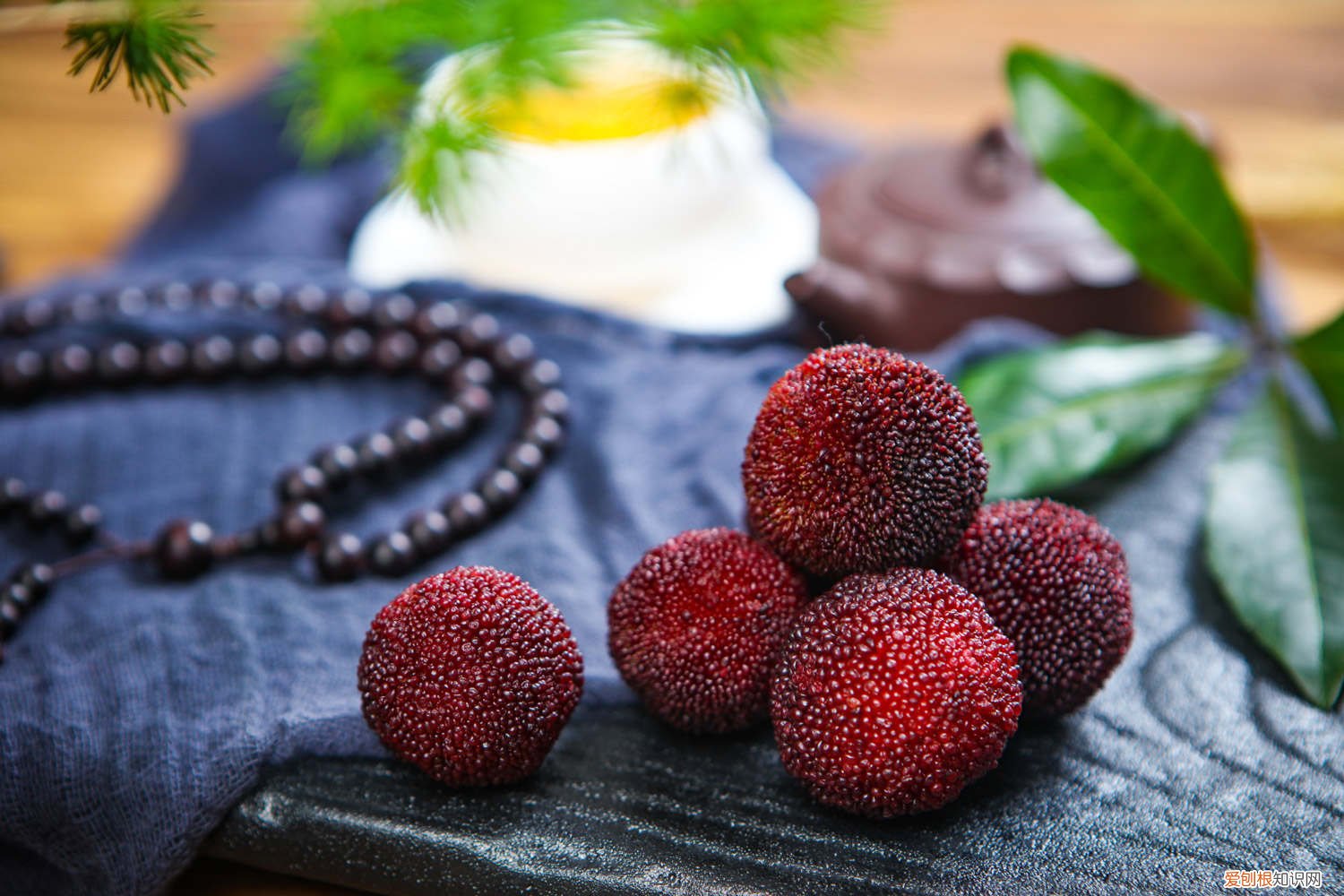 杨梅盆栽养护方法,有什么注意事项吗 杨梅盆栽养护方法,有什么注意事项