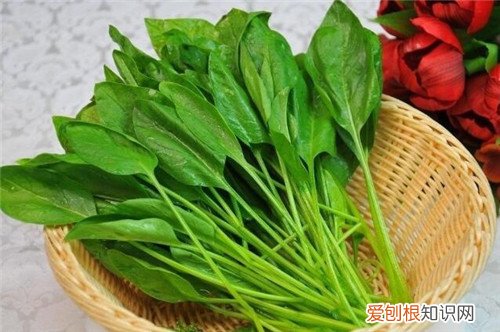 菠菜子熬水喝好处介绍 菠菜不能和什么一起吃