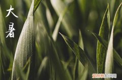 2023大暑节气是在几月几日