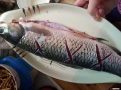 草鱼怎么做好吃 家常草鱼烹饪大全