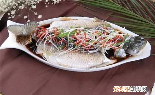 草鱼怎么做好吃 家常草鱼烹饪大全