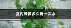 室内绿萝多久浇一次水冬天 室内绿萝多久浇一次水