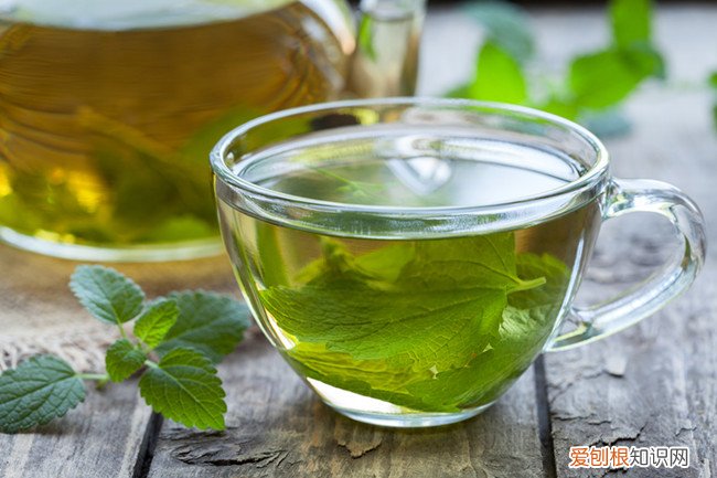 薄荷叶可以减肥吗 薄荷叶泡水的禁忌
