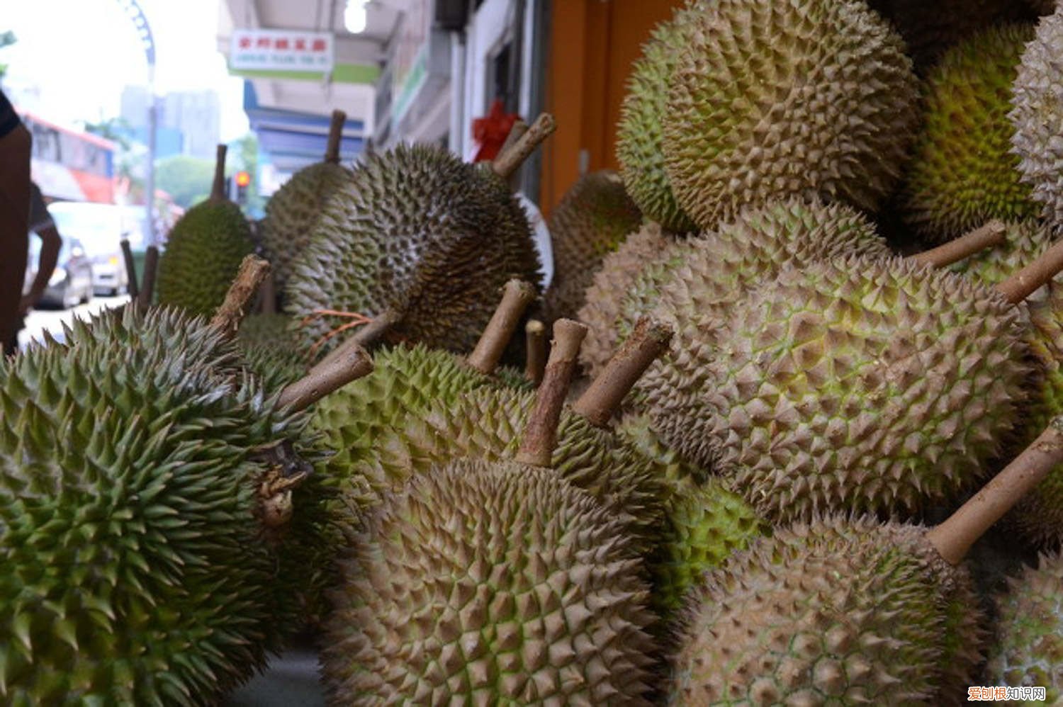 怎么种榴莲蜜 怎么种榴莲