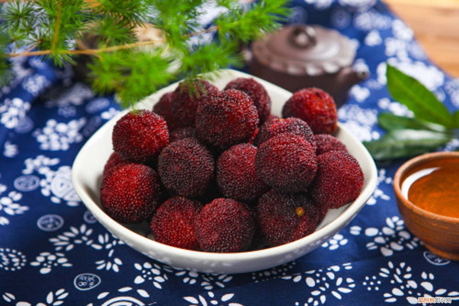 杨梅怎么繁殖 杨梅养殖方法，繁殖方法有哪几种