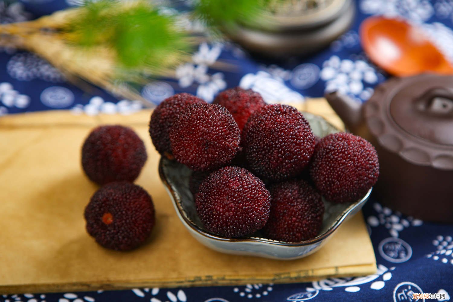 水杨梅扦插能活吗 杨梅怎么扦插，扦插成活率高吗