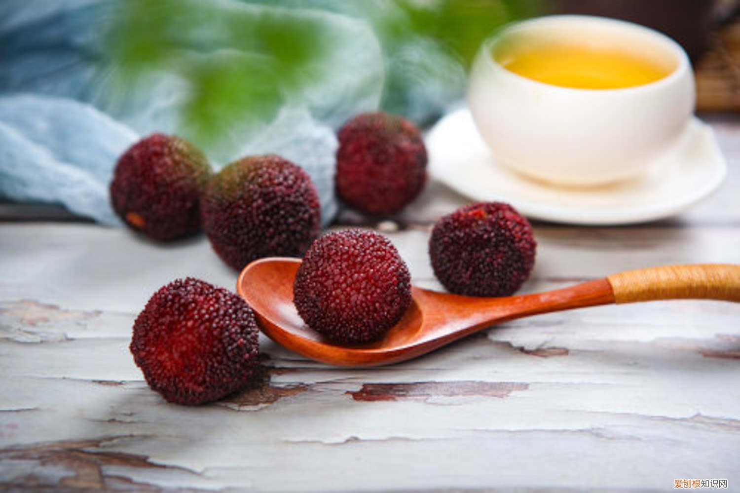 水杨梅扦插能活吗 杨梅怎么扦插，扦插成活率高吗