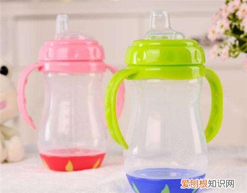 学饮杯什么牌子好选购学饮杯要注意哪些方面