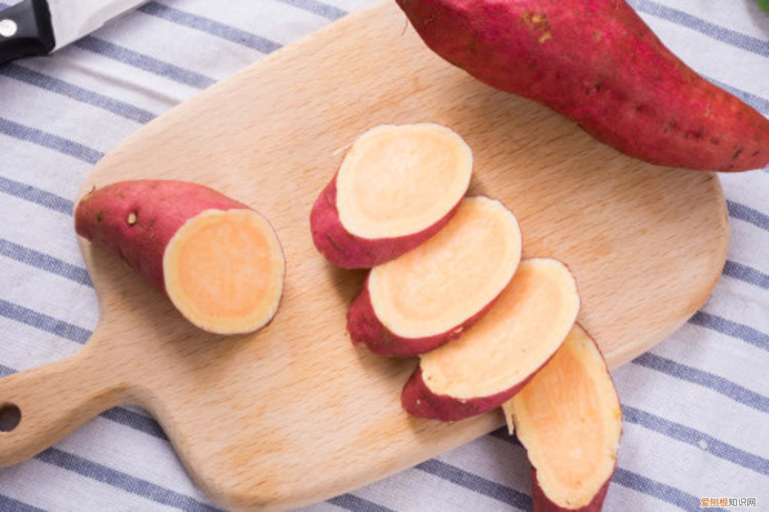 地瓜发芽了怎么种盆栽好 地瓜发芽了怎么种盆栽