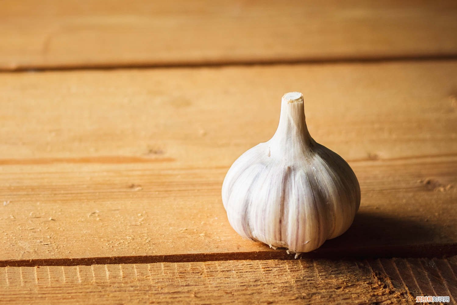 怎么种蒜瓣儿 怎么种蒜