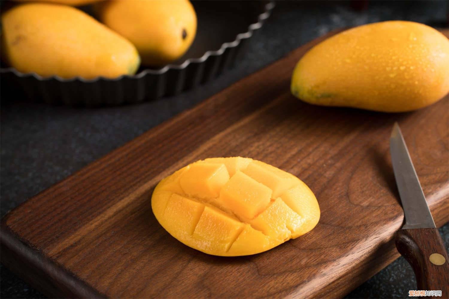 芒果种子怎么种