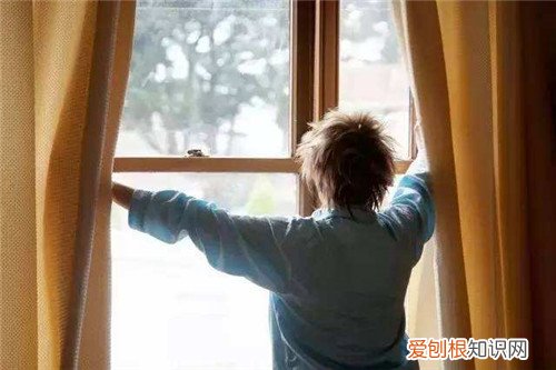 室内空气污染净化方法怎样净化室内空气好